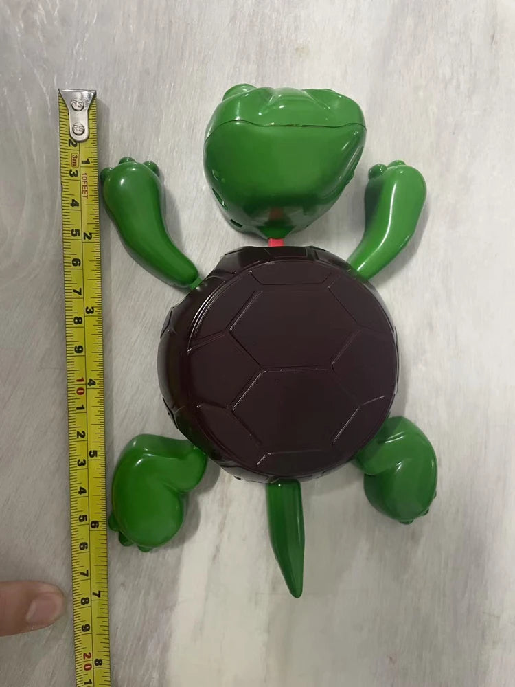 The Original Turtle Coaster