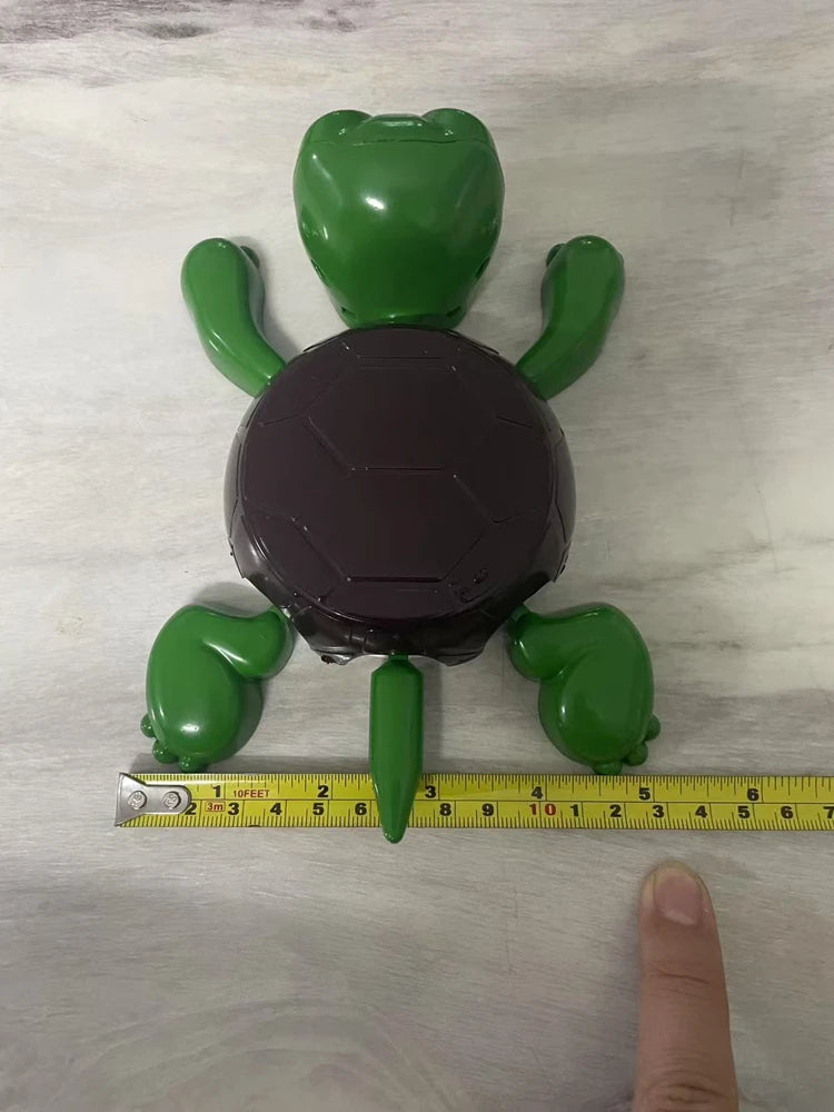 The Original Turtle Coaster