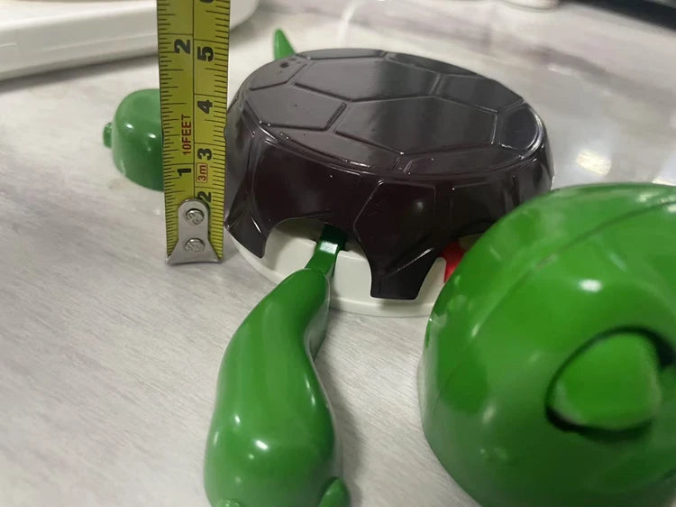 The Original Turtle Coaster