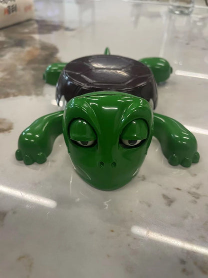 The Original Turtle Coaster