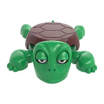 The Original Turtle Coaster