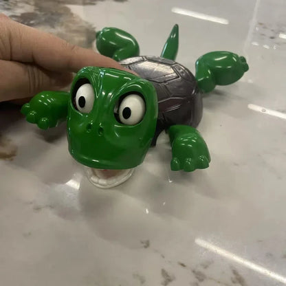 The Original Turtle Coaster