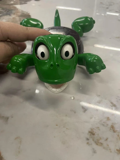The Original Turtle Coaster